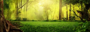 forêt
